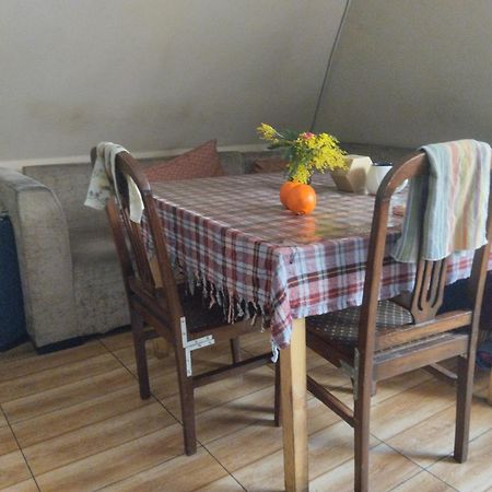 Everyday Cat Hostel Batumi Ngoại thất bức ảnh