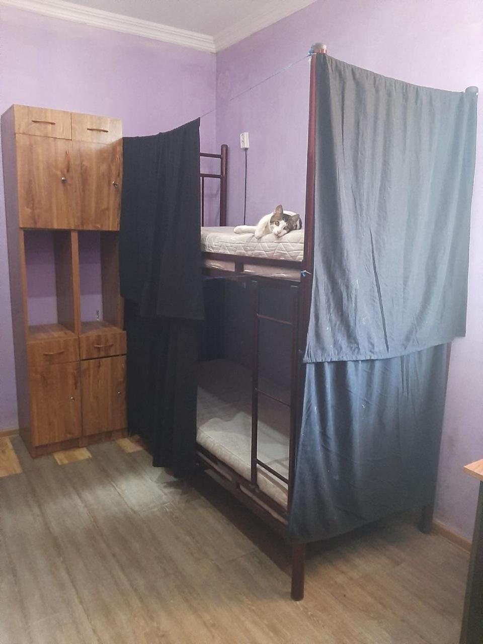 Everyday Cat Hostel Batumi Ngoại thất bức ảnh