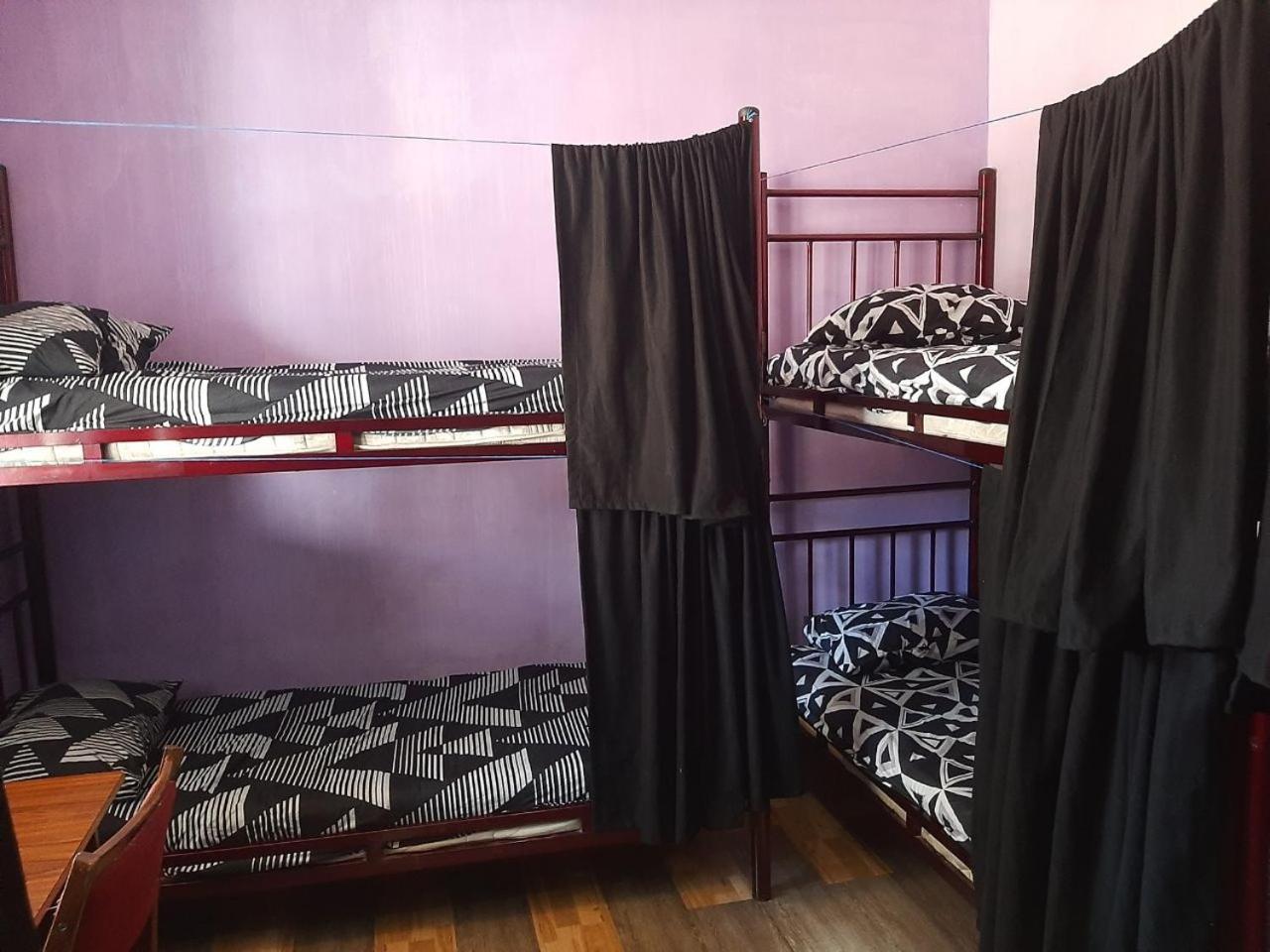 Everyday Cat Hostel Batumi Ngoại thất bức ảnh