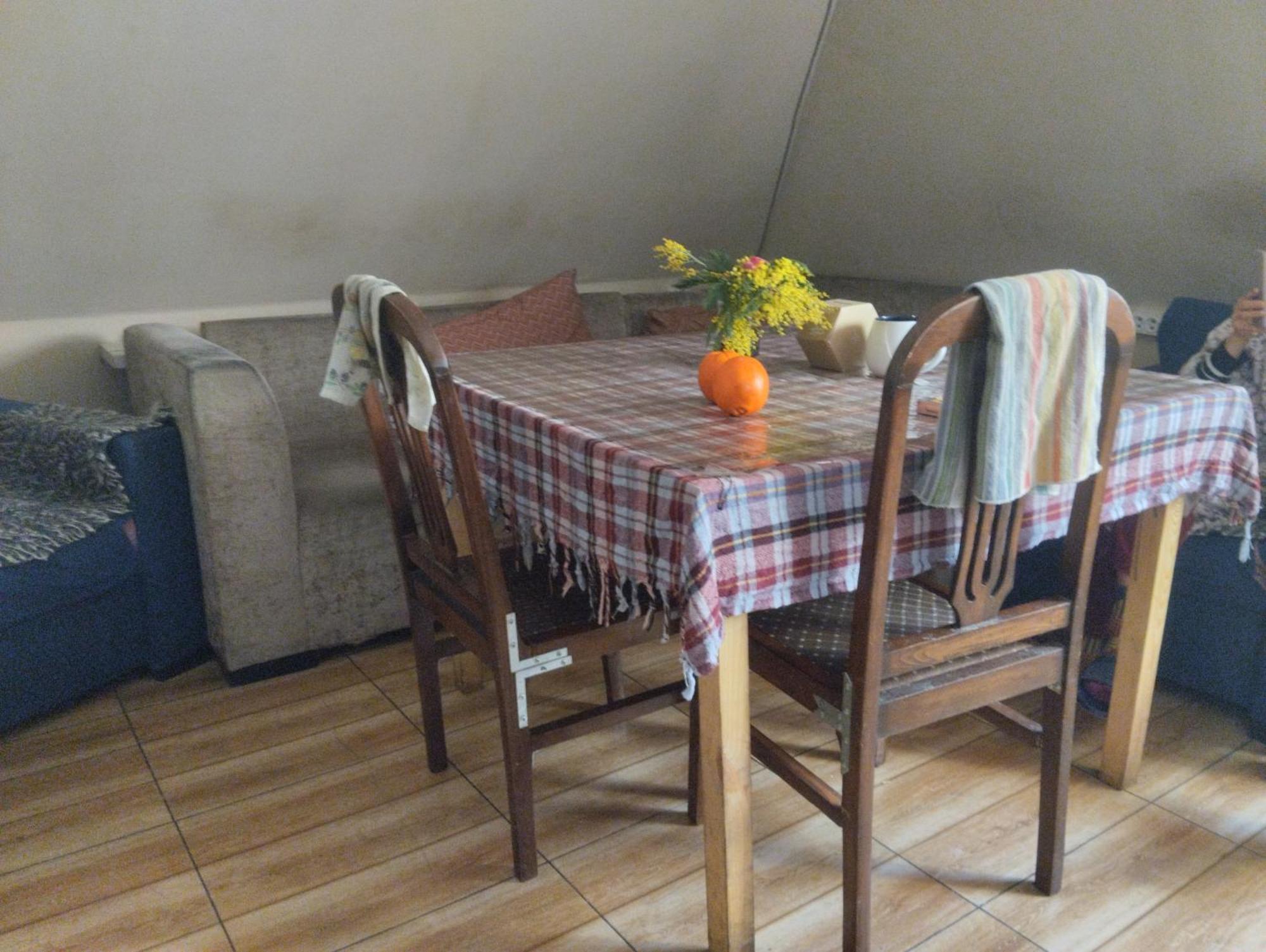 Everyday Cat Hostel Batumi Ngoại thất bức ảnh