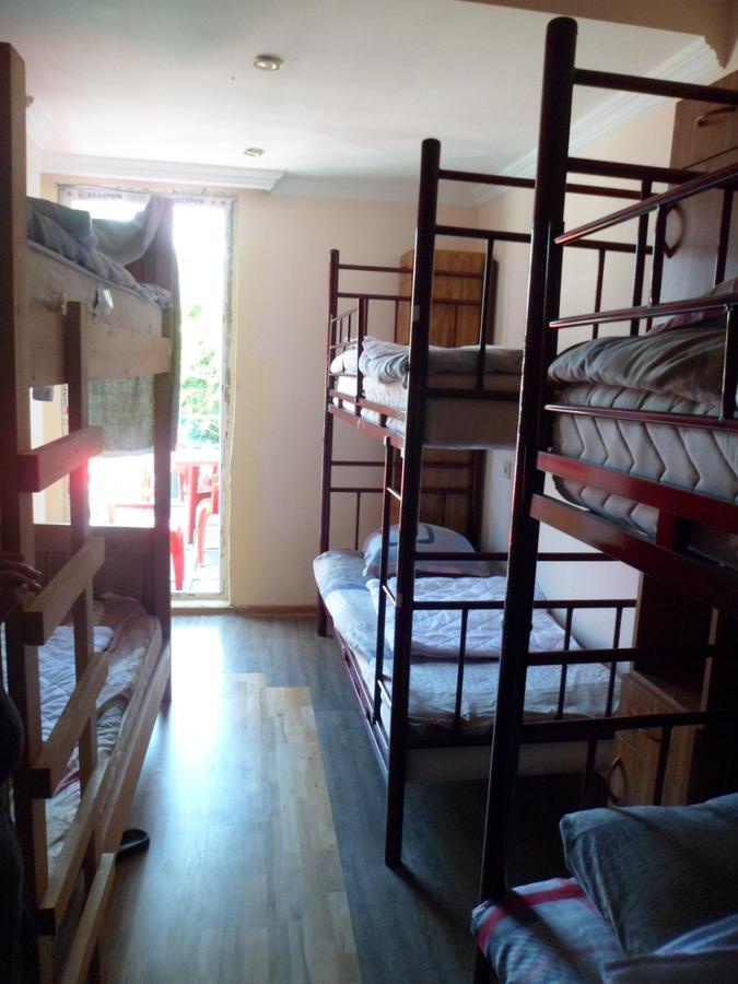 Everyday Cat Hostel Batumi Ngoại thất bức ảnh