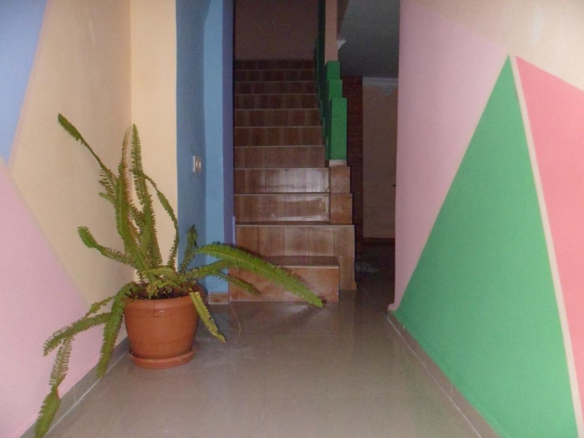 Everyday Cat Hostel Batumi Ngoại thất bức ảnh